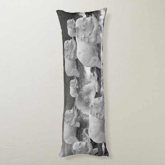 OLIFANTENREIS LICHAAMSKUSSEN (Achterkant (Verticaal))