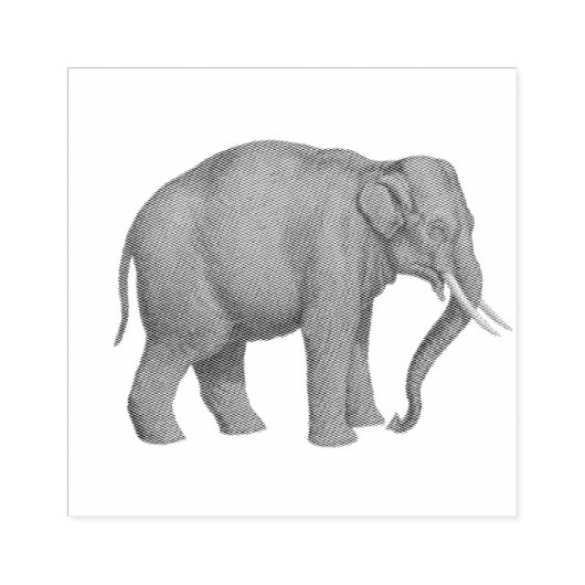 Olifantensafari dieren rubberstempel (Afrduk)