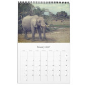 olifantensafari kalender (Jan 2027)