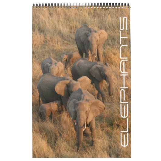 olifantensafari kalender (Hoes)