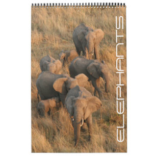 olifantensafari kalender