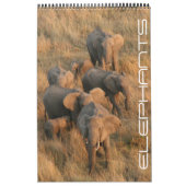 olifantensafari kalender (Hoes)