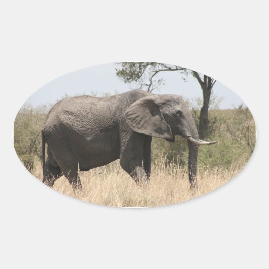 olifantenstandaard ovale sticker (Voorkant)