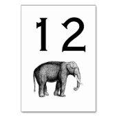  olifantentekening kaart (Achterkant)