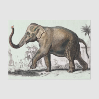  olifantentekening tissuepapier