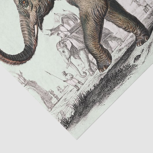  olifantentekening tissuepapier (Detail)