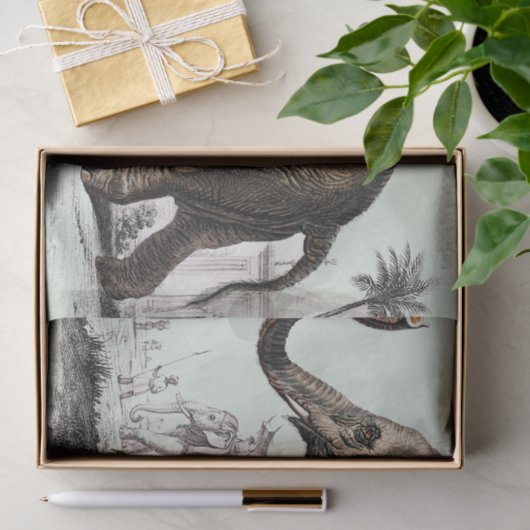  olifantentekening tissuepapier (Geschenk)