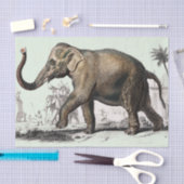  olifantentekening tissuepapier (Craft)