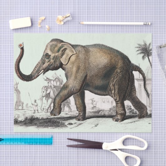  olifantentekening tissuepapier (Craft)