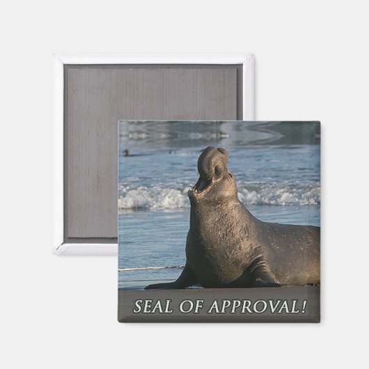 Olifantenverzegeling Magneet (Voorkant / Achterkant)