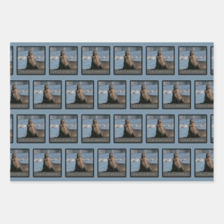 olifantenverzegeling van goedgekeurd omslagpapier  inpakpapier vel