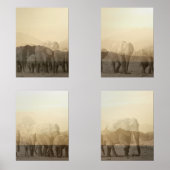 Olifantkudde bij zonsondergang print set (Voorkant)