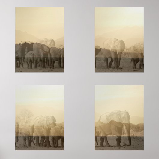 Olifantkudde bij zonsondergang print set (Voorkant)