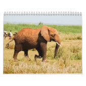 Olifantskalender Kalender (Hoes)
