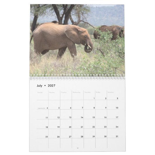 Olifantskalender Kalender (Jul 2027)