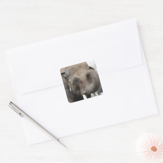 Olifantslurf Stickers (Envelop)