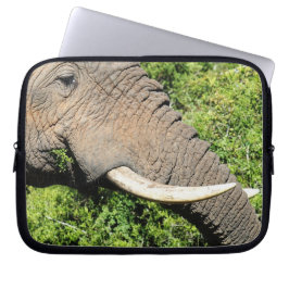 Olifantsslagtanden Laptop Sleeve