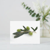 Olijf Briefkaart (Staand voorkant)