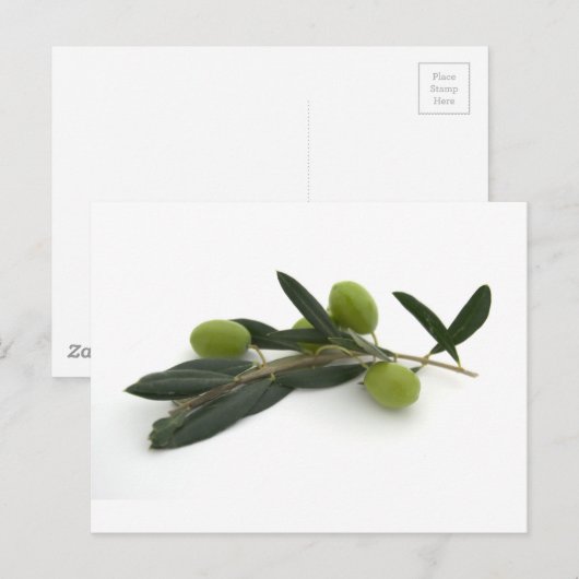 Olijf Briefkaart (Voorkant / Achterkant)