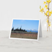 Olijf- en amandelbomen en besneeuwde bergen kaart (Gele Bloem)