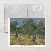 Olijf van Vincent Van Gogh Briefkaart (Voorkant / Achterkant)