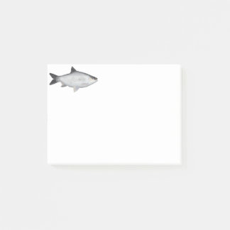 Olijfbarbeel Post-it® Notes