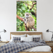 Olijfbaviaan in boom canvas afdruk (Insitu (Slaapkamer))