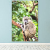Olijfbaviaan in boom canvas afdruk (Insitu (Houten vloer))