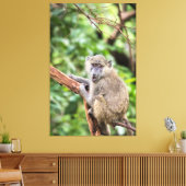 Olijfbaviaan in boom canvas afdruk (Insitu (Woonkamer))