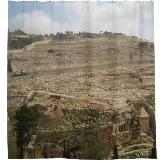 Olijfberg Jerusalem Douchegordijn (Voorkant)