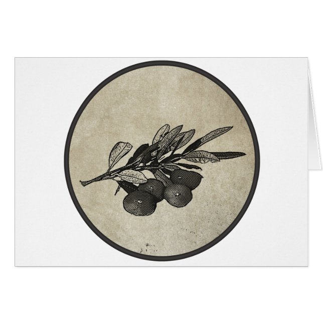 Olijfbijkantoor (Voorkant Horizontaal)