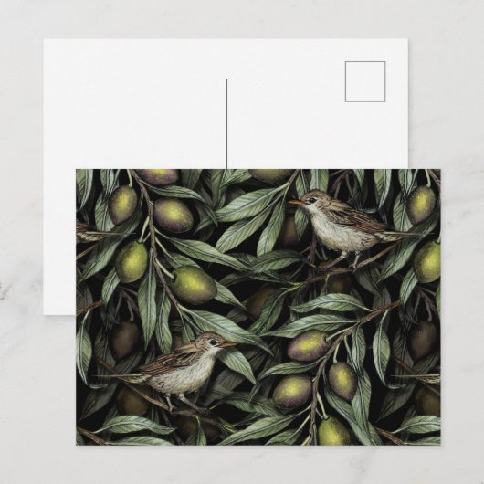 Olijfbijkantoren en Warblers Briefkaart (Voorkant / Achterkant)