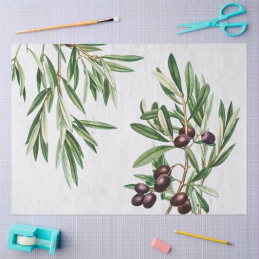 Olijfbladeren Grieks eiland Middellandse Zee Tissuepapier (Craft)