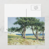 Olijfbomen, Bordighera Briefkaart (Voorkant / Achterkant)