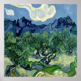 Olijfbomen door Vincent van Gogh Poster