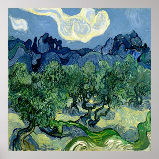 Olijfbomen door Vincent van Gogh Poster (Voorkant)