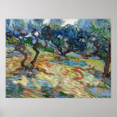 Olijfbomen door Vincent van Gogh Poster (Voorkant)