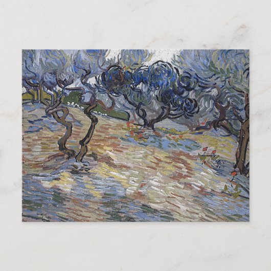 Olijfbomen (F714) Van Gogh Fine Art Briefkaart (Voorkant)