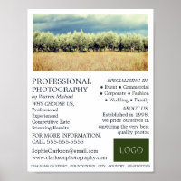 Olijfbomen, fotografie, fotografe hire