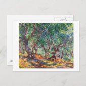 Olijfbomen in Bordighera, 1884 Claude Monet Briefkaart (Voorkant / Achterkant)