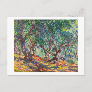 Olijfbomen in Bordighera, 1884 Claude Monet Briefkaart