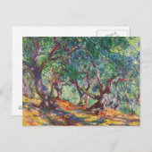 Olijfbomen in Bordighera, 1884 Claude Monet Briefkaart (Voorkant / Achterkant)