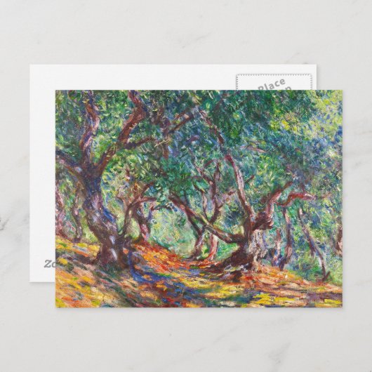 Olijfbomen in Bordighera, 1884 Claude Monet Briefkaart (Voorkant / Achterkant)