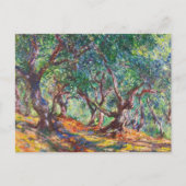 Olijfbomen in Bordighera, 1884 Claude Monet Briefkaart (Voorkant)