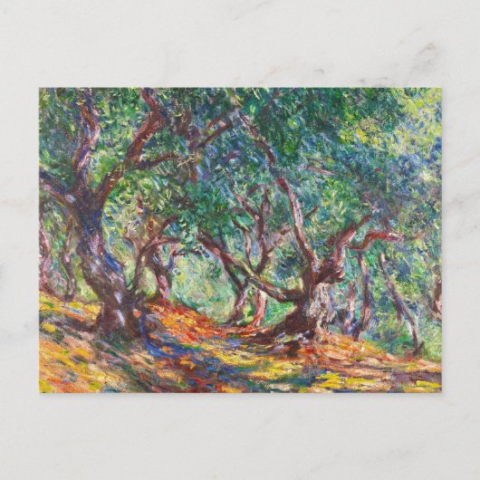 Olijfbomen in Bordighera, 1884 Claude Monet Briefkaart (Voorkant)
