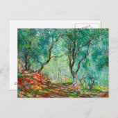 Olijfbomen in de tuin van Moreno, 1884 Briefkaart (Voorkant / Achterkant)