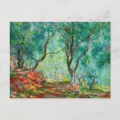 Olijfbomen in de tuin van Moreno, 1884 Briefkaart (Voorkant)