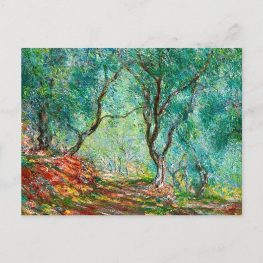 Olijfbomen in de tuin van Moreno, 1884 Briefkaart (Voorkant)