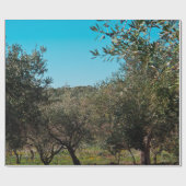 Olijfbomen in het Apulië-landschap in de herfst. Cadeaupapier (Vlak)