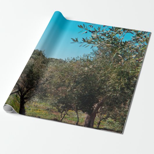 Olijfbomen in het Apulië-landschap in de herfst. Cadeaupapier (Uitgerold)